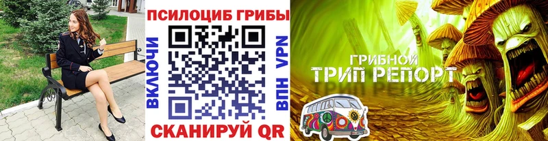 Псилоцибиновые грибы Magic Shrooms  KRAKEN маркетплейс  Туапсе 