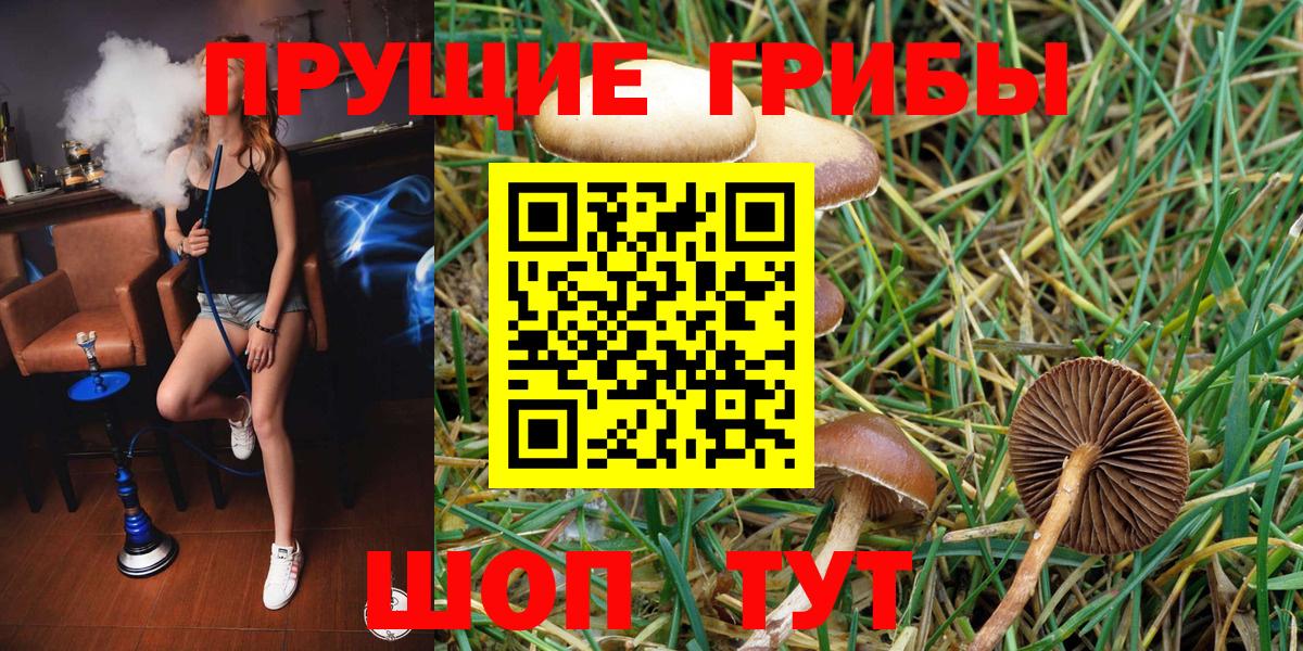 Псилоцибиновые грибы ЛСД Туапсе